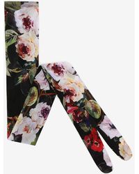 Dolce & Gabbana - Rose Garden Print Tulle Tights - Lyst
