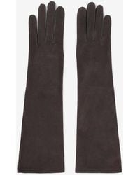 Lanvin - Long Slim Suede Gloves - Lyst