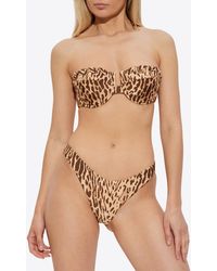 Zimmermann - Leopard Print Padded Bikini Top - Lyst