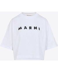 Marni - Logo Print Cropped T-Shirt - Lyst