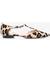 P.A.R.O.S.H. - Leopard Print Pointed-Toe Flats - Lyst