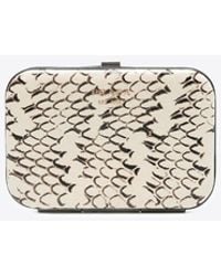 Prada - Snakeskin Rigid Cardholder - Lyst