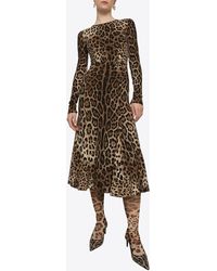 Dolce & Gabbana - Leopard Print Cady Midi Dress - Lyst