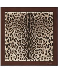 Dolce & Gabbana - Scarfs - Lyst