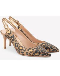 gianvito rossi leopard heels