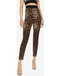 Dolce & Gabbana - Leopard-Print Charmeuse Leggings - Lyst