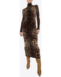 Dolce & Gabbana - Leopard Print Turtleneck Midi Dress - Lyst