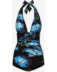 Dolce & Gabbana - Halterneck Bluebell One-Piece Swimsuit - Lyst
