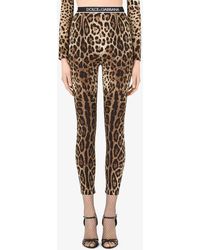 Dolce & Gabbana - Leopard Print High-Waist Charmeuse Leggings - Lyst