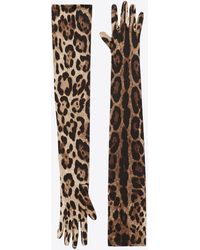 Dolce & Gabbana - Leopard Print Long Stretch Gloves - Lyst