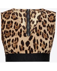 Dolce & Gabbana - Leopard-Print V-Neck Sleeveless Top - Lyst