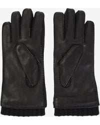 Canali - Deerskin Leather Gloves - Lyst