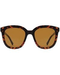 A.Kjærbede - Billy Large Sunglasses - Lyst