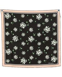 Dolce & Gabbana - Floral Scarf - Lyst