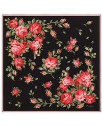Dolce & Gabbana - Dolce & Gabbana Floral-Print Scarf - Lyst