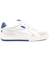 Palm Angels - Palm University Low-top Leather Sneakers - Lyst