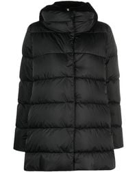 Herno - `a-shape` Padded Jacket - Lyst