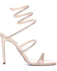 Rene Caovilla - Cleo Leather Sandals With Gladiator Lace - Lyst