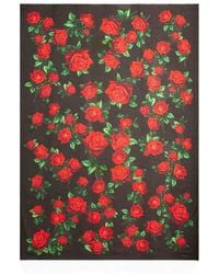 Dolce & Gabbana - Modal And Cashmere Scarf With Rose Motif - Lyst