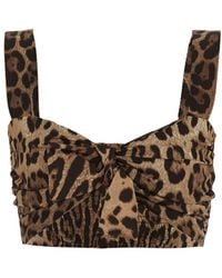 Dolce & Gabbana - Leo Print Poplin Crop Top - Lyst