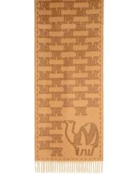 Max Mara - 'Wsteddyc' Camel Jacquard Cachemire Stole - Lyst