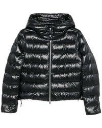 Herno - Outerwear - Lyst