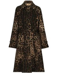 Dolce & Gabbana - Belted Leopard-Print Wool Coat - Lyst