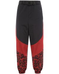 Dolce & Gabbana - Nylon Trouser With Animalier Print - Lyst