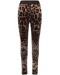 Dolce & Gabbana - Animal Printed leggings - Lyst