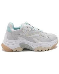 Ash - Sneakers Stringate Addict - Lyst