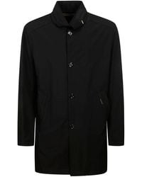 Moorer - Hektor-Kn - Lyst