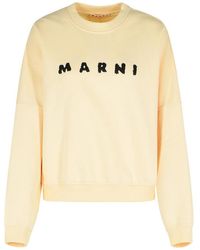 Marni - Ivory Cotton Sweatshirt - Lyst