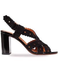 Chie Mihara - Biby Sandal With Floral Motif Buckle - Lyst