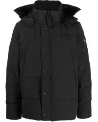 Canada Goose - Padded Hooded Coat - Lyst