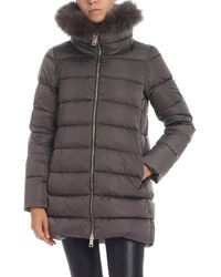 Herno Grey Down Jacket With Fur Collar - Gray