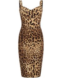 Dolce & Gabbana - Midi Animal Print Dress - Lyst