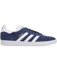 blue gazelles