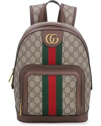 gucci haversack