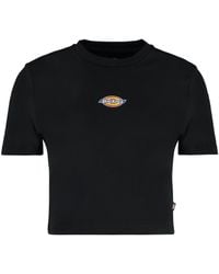Dickies - Maple Valley Logo Detail Cropped T-Shirt - Lyst