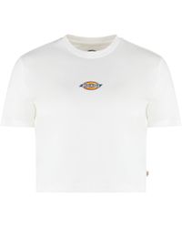 Dickies - T-shirt Maple Valley in cotone stretch con stampa - Lyst