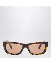 Miu Miu - Eyewear Collection Honey Havana Sunglasses - Lyst