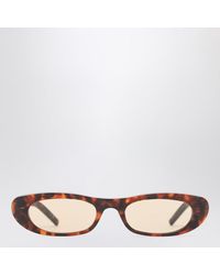 Saint Laurent - Sl 557 Shade Havana Sunglasses - Lyst