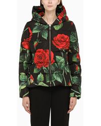 Dolce & Gabbana Nylon Down Jacket With Red Rose Print | Lyst UK