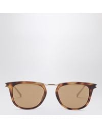 Saint Laurent - Sl 753 Havanna/ Sonnenbrille - Lyst