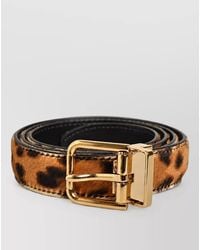 Dolce & Gabbana - Leopard Calf Hair Belt - Lyst