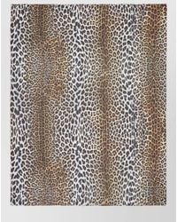 Faliero Sarti - Silk Animalier Print Scarf - Lyst
