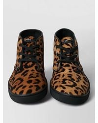 Dolce & Gabbana - Leopard-Print Calf Hair Leather Sneakers - Lyst