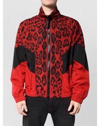 Dolce & Gabbana - Leopard Print Track Jacket - Lyst