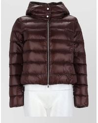 Herno - Hooded Quilted Coat Elastic Cuffs - Lyst