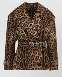 Dolce & Gabbana - Leopard Trench Coat Belted Waist Double Breasted - Lyst
